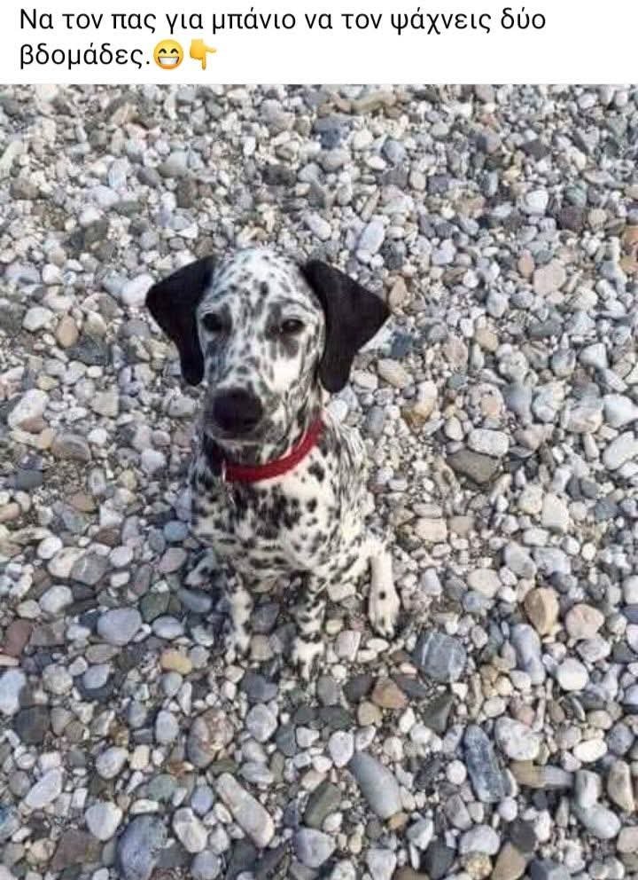 Να τον ψάχνεις δυό βδομάδες.jpg