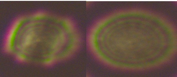 1758084966850.jpeg 1758084966850.jpeg