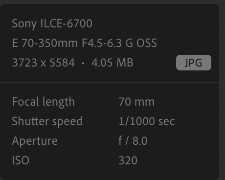 Screenshot 2025-09-22 at 13.04.40.png