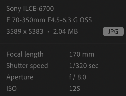 Screenshot 2025-09-28 at 19.56.32.png