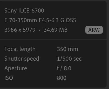 Screenshot 2025-10-04 at 18.33.50.png