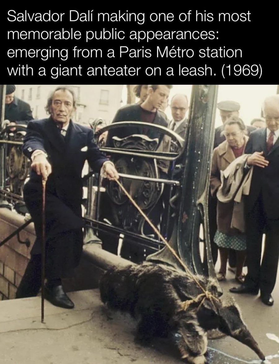 Dali, 1969, Paris, anteater on a leash.jpg