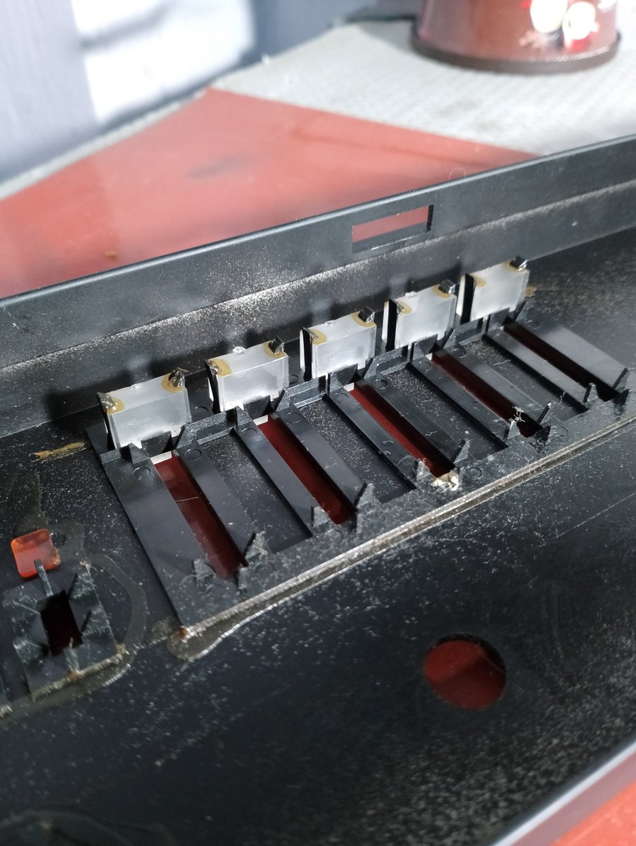 IMG_20251005_224739.jpg IMG_20251005_224739.jpg