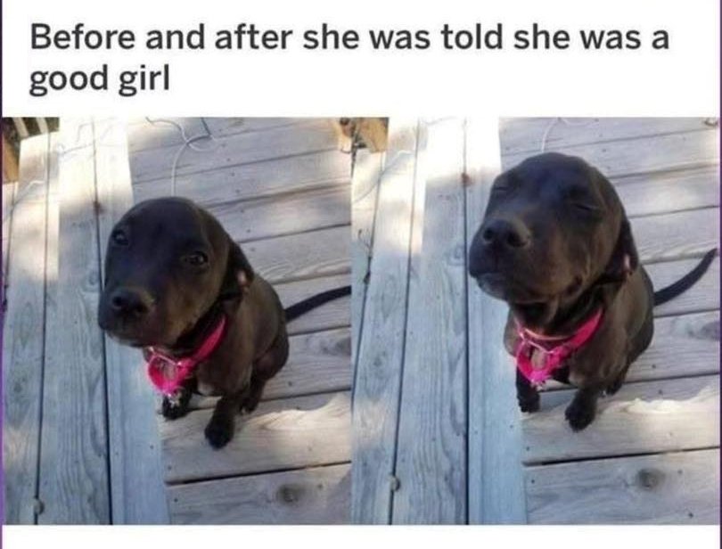 Before and after.jpg