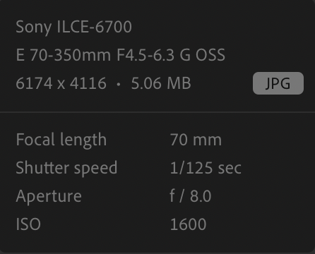 Screenshot 2025-10-15 at 13.33.14.png