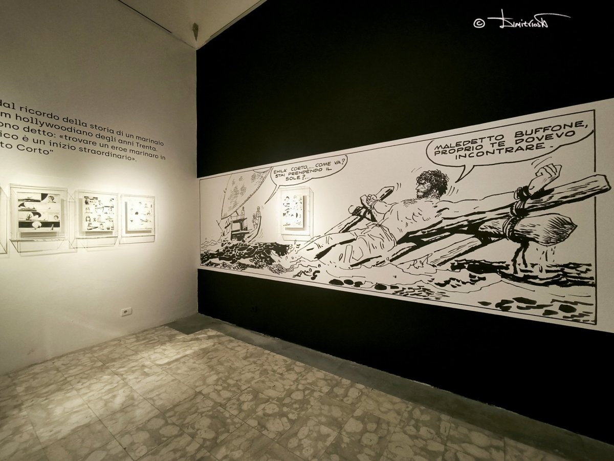 IMG_20250501_105132_PS2 copy_WM.jpg