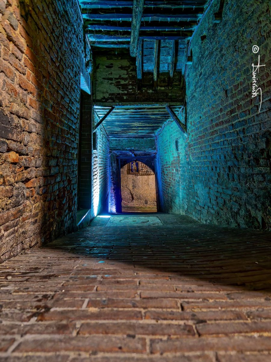 P4280030_DxO copy_WM.jpg