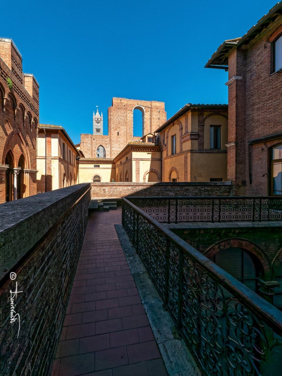 _1350587_DxO_PS copy_WM.jpg