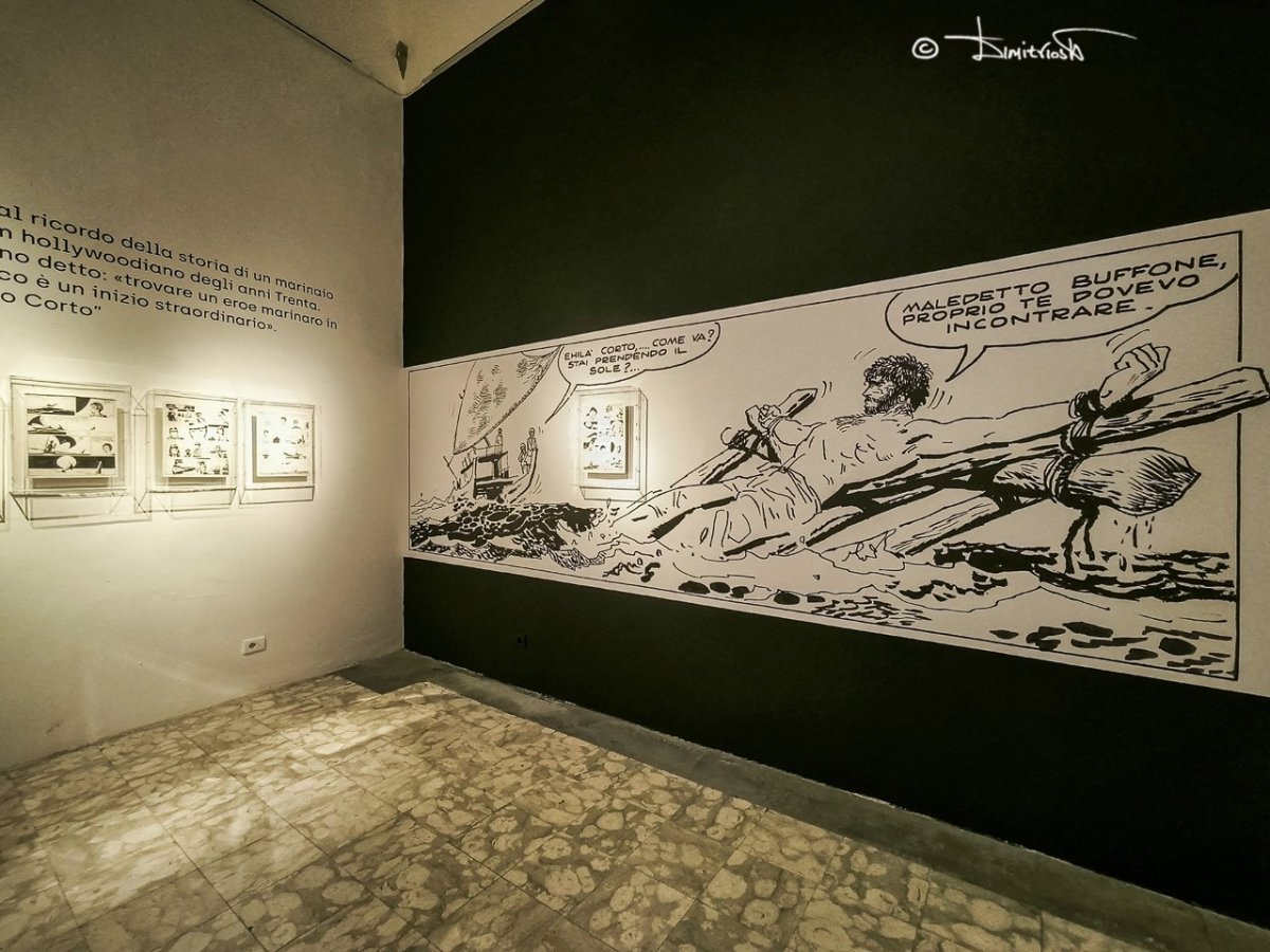 IMG_20250501_105132 copy_WM.jpg