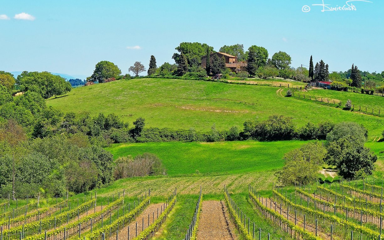 P5010927_DxO_PS copy_WM.jpg