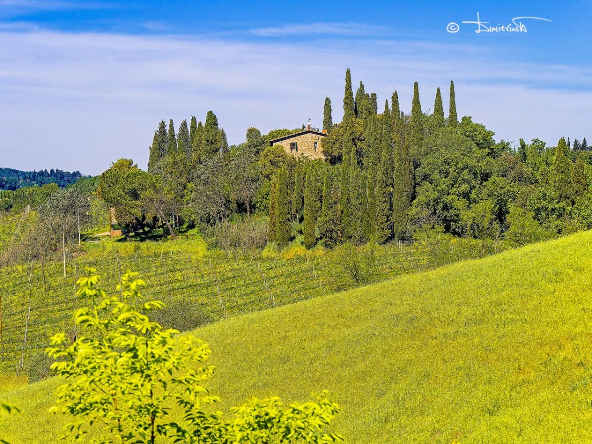 P5020265_DxO_PS copy_WM.jpg