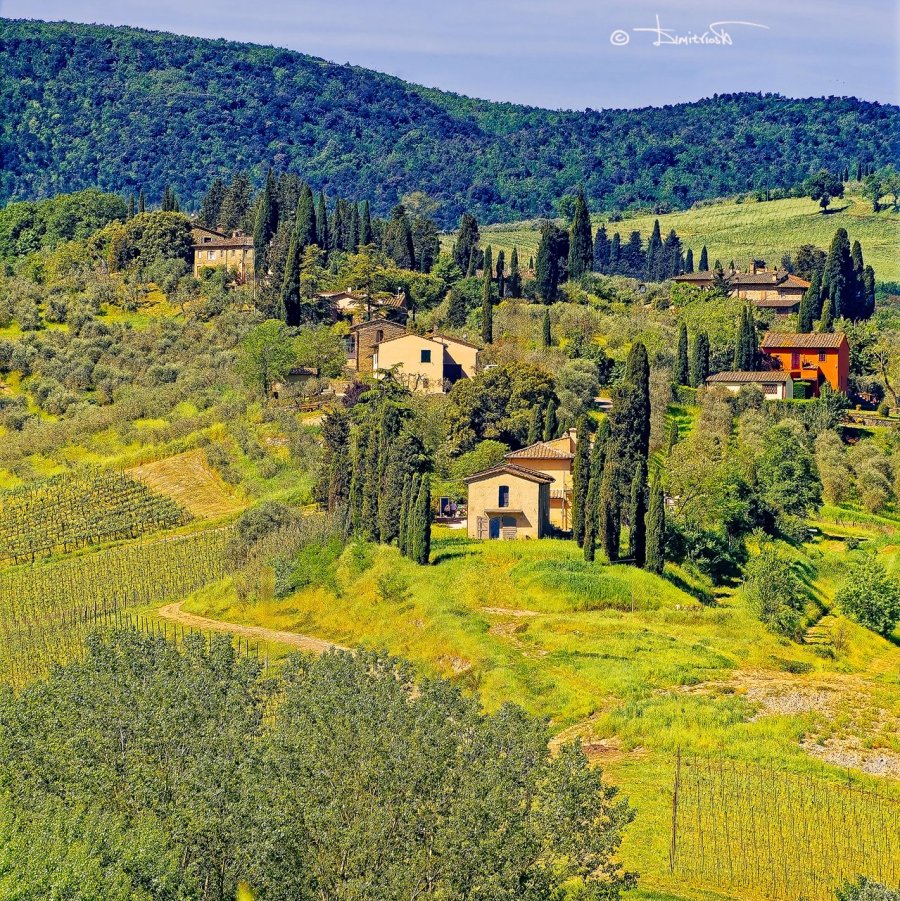 P5020286_DxO_PS copy_WM.jpg