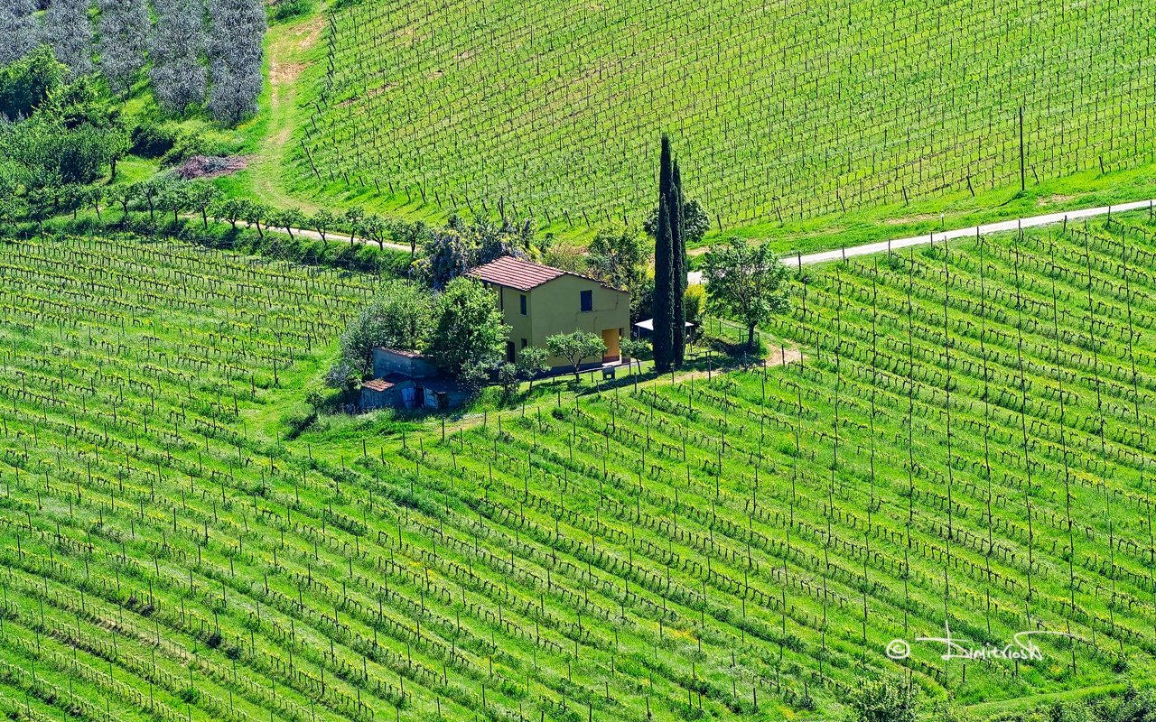 P5010978_DxO_PS copy_WM.jpg