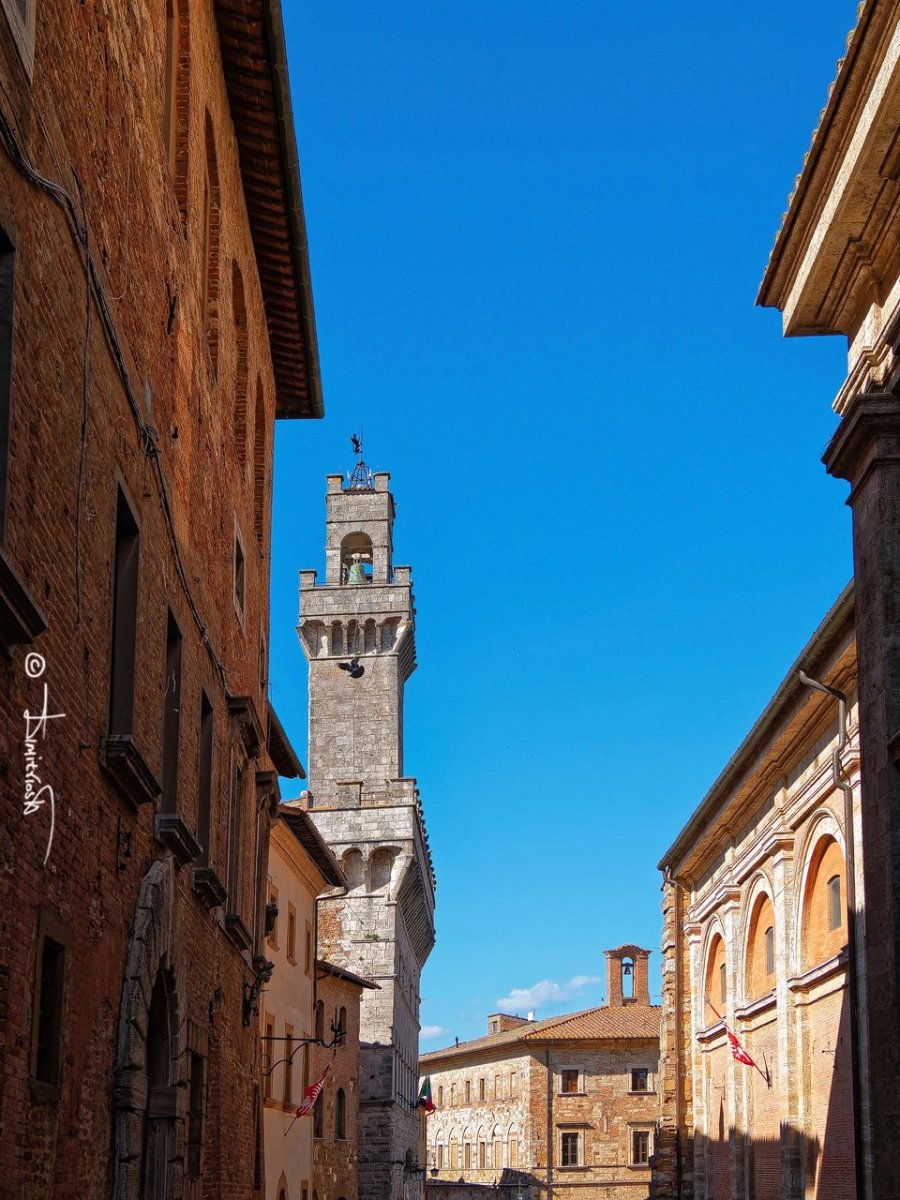 P5011032_DxO-GP_PS copy_WM.jpg