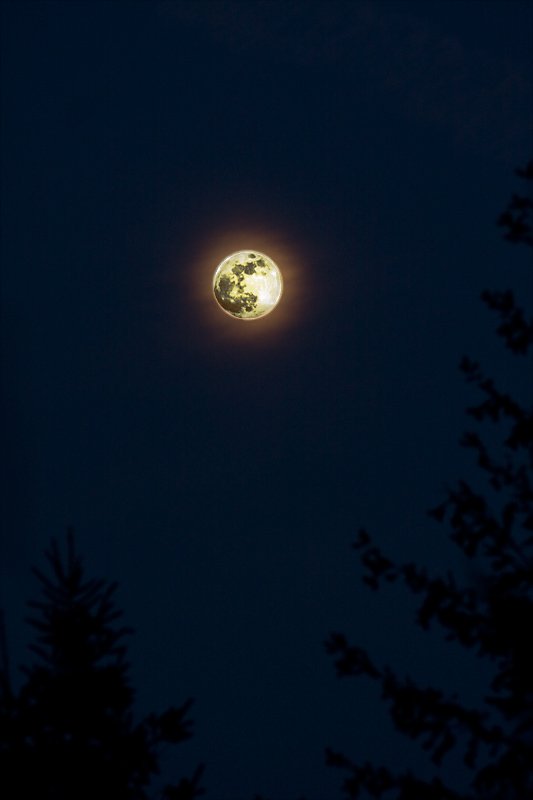 full-moon.jpg