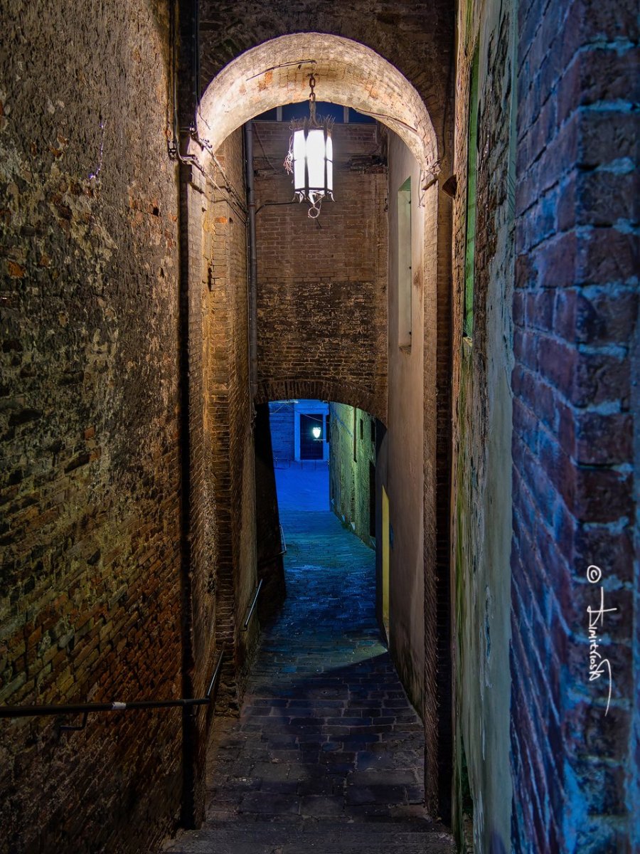 P4300417_DxO_PS copy_WM.jpg