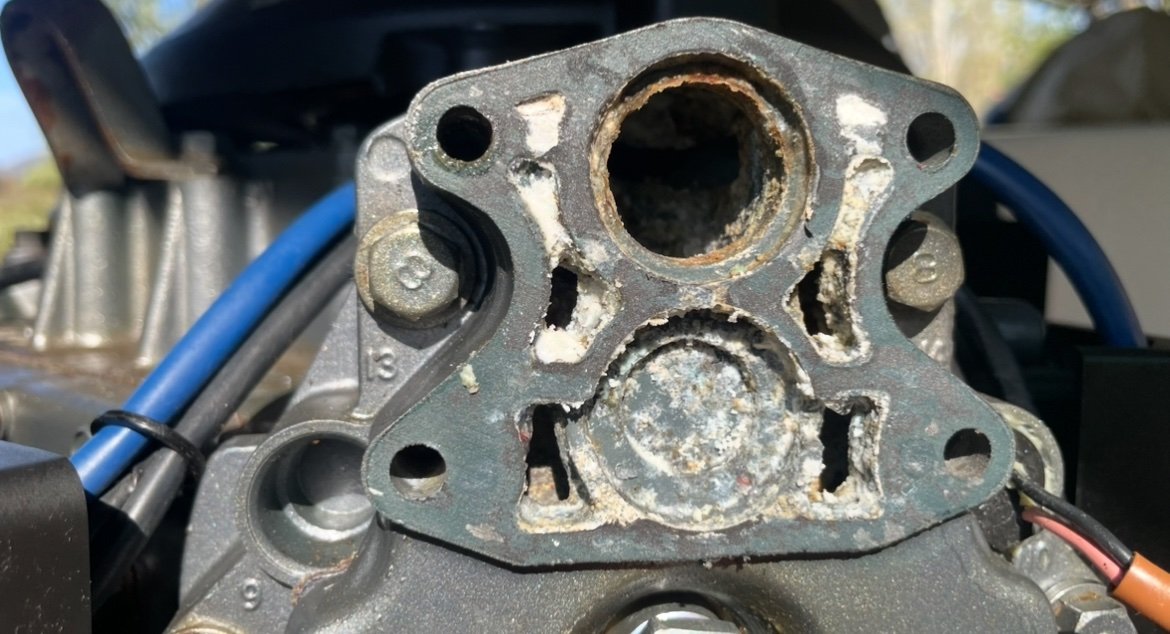 IMG_2527.jpeg IMG_2527.jpeg