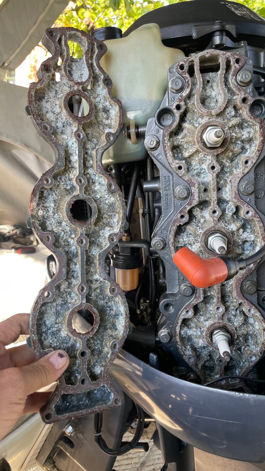 IMG_2596.jpeg IMG_2596.jpeg