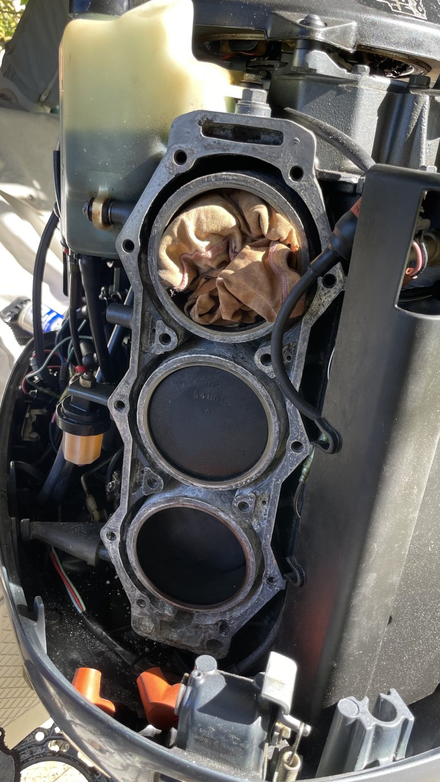 IMG_2604.jpeg IMG_2604.jpeg