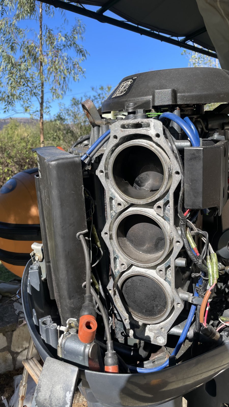 IMG_2606.jpeg IMG_2606.jpeg