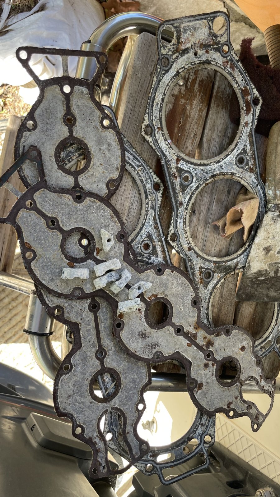 IMG_2605.jpeg IMG_2605.jpeg