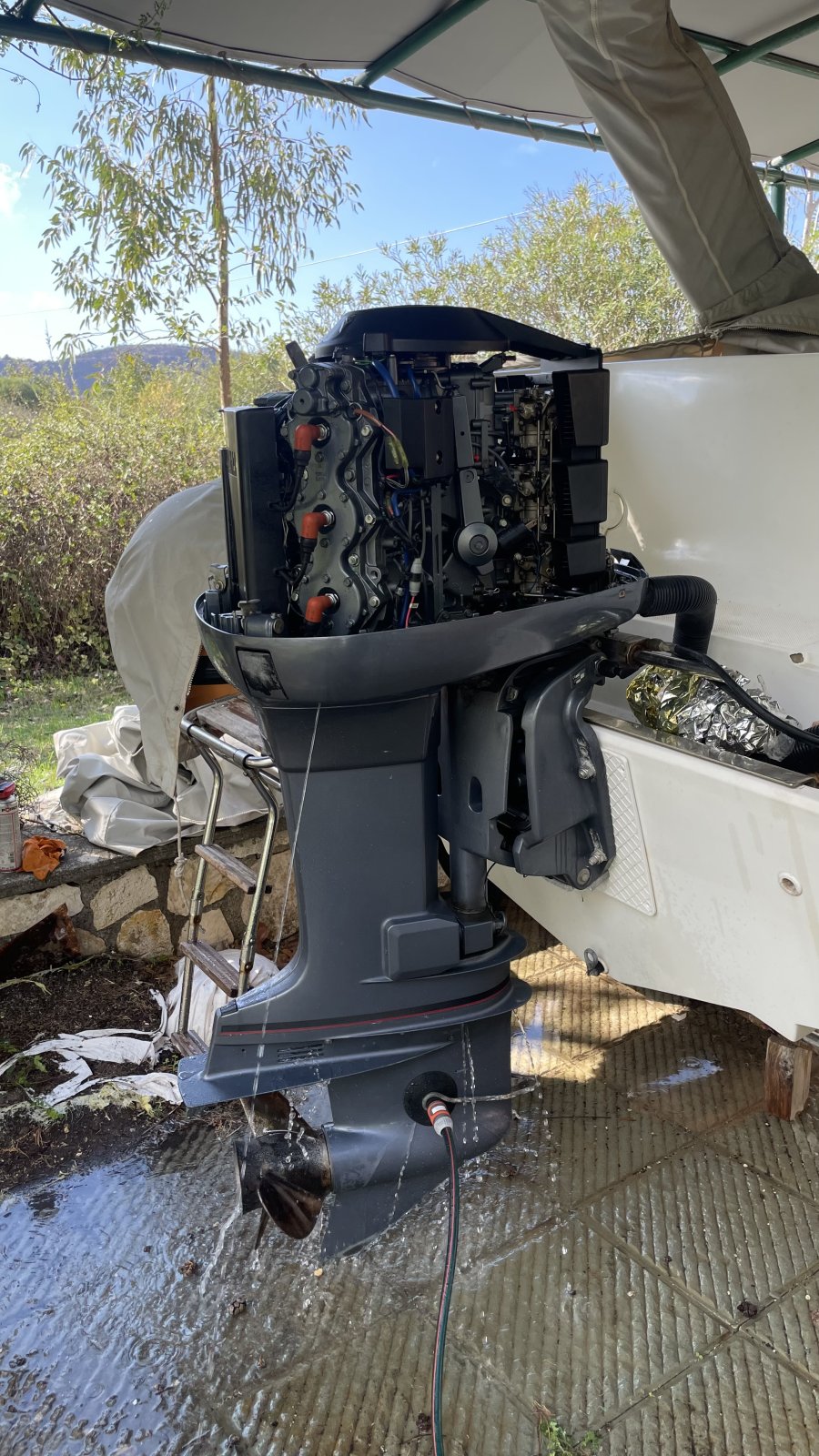 IMG_2652.jpeg IMG_2652.jpeg