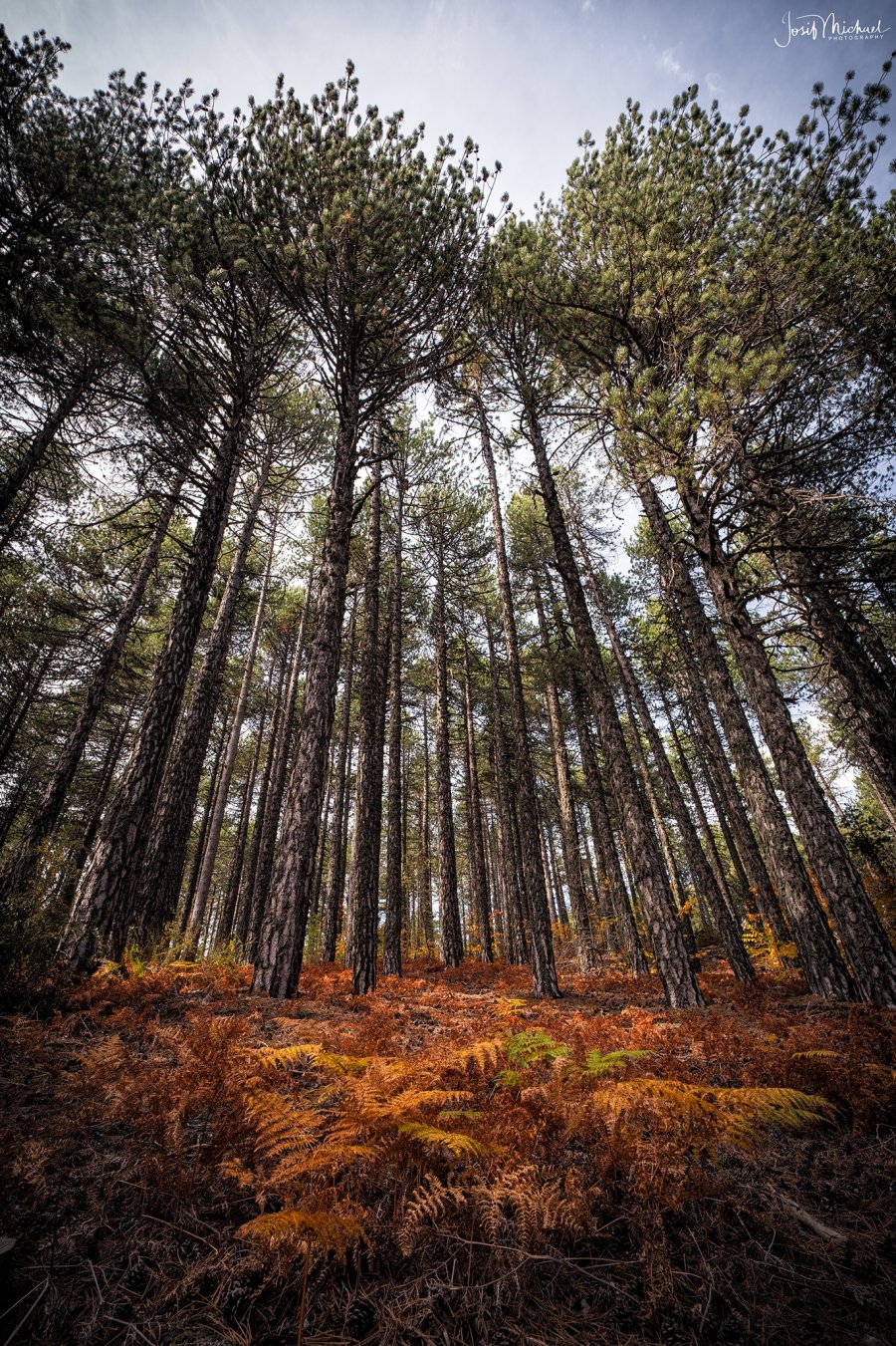 ARV09055-Edit web.jpg