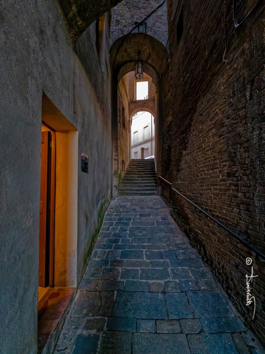 _1350260_DxO_PS copy_WM.jpg