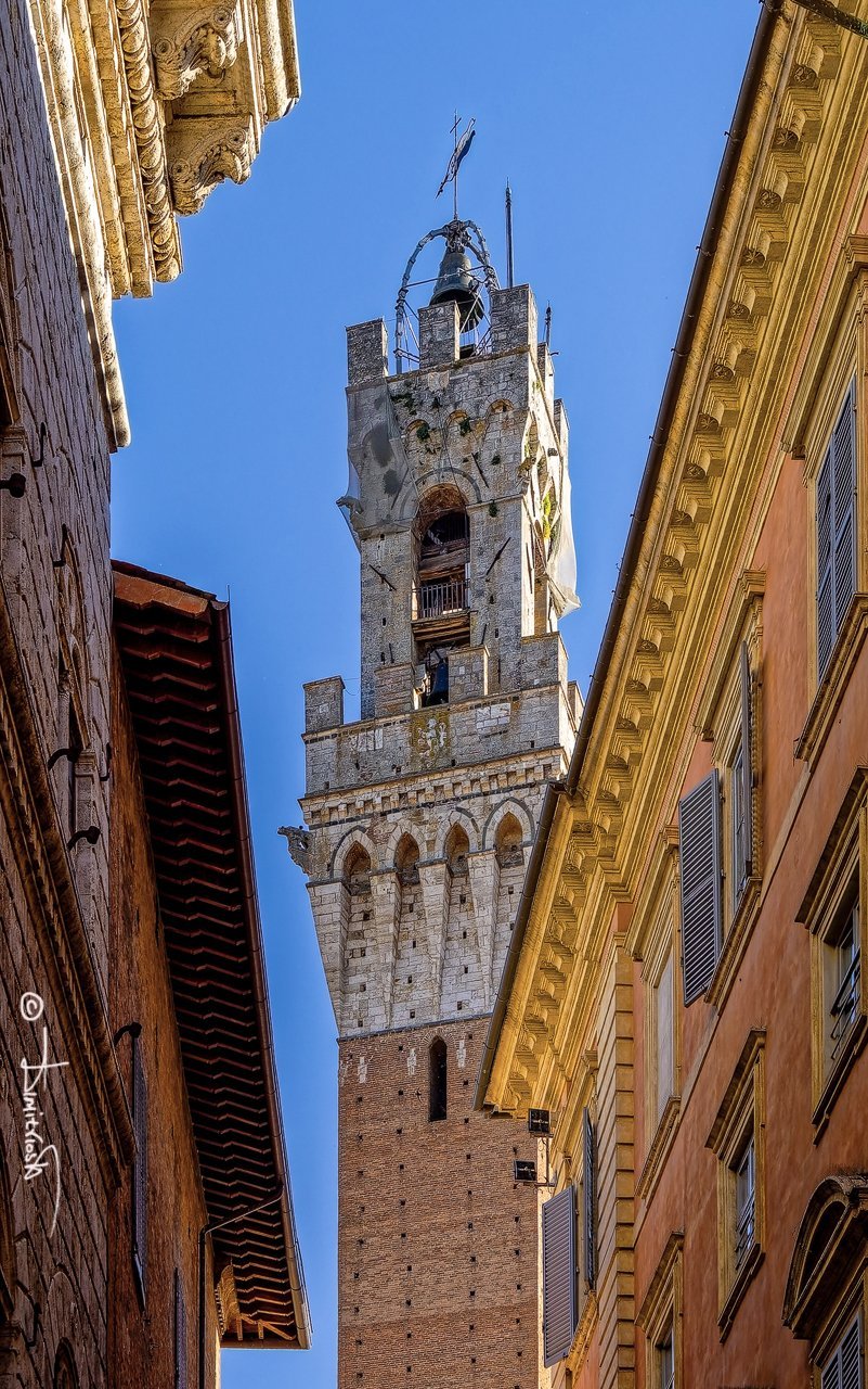 P5020403_DxO copy_WM.jpg