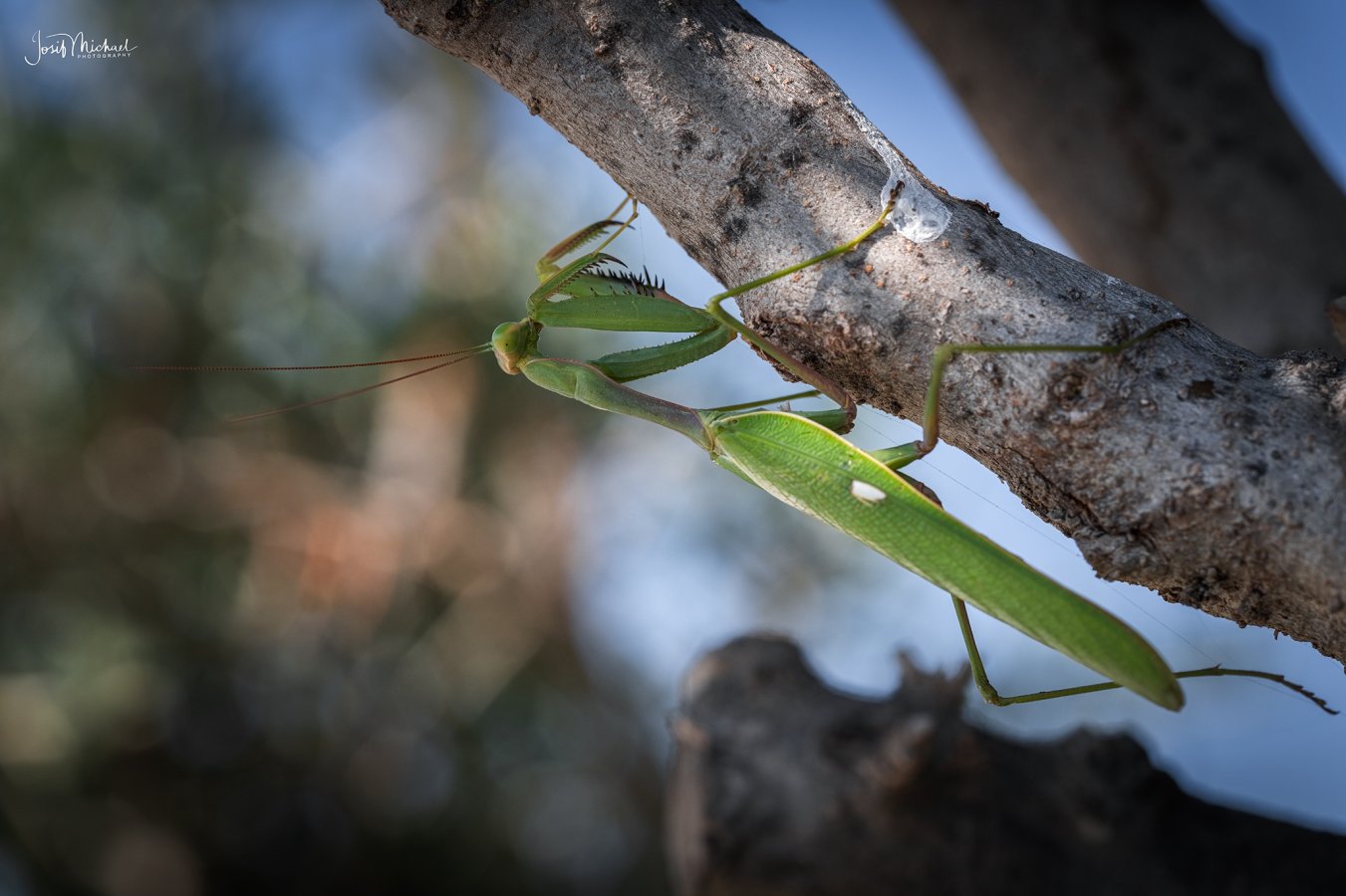 ARV09117-Edit web.jpg