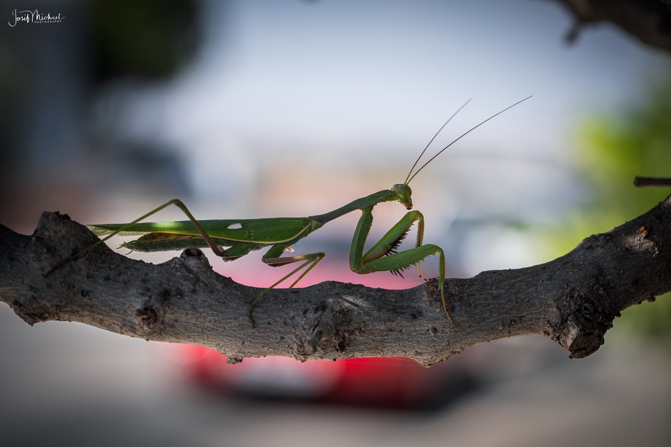 ARV09122-Edit web.jpg