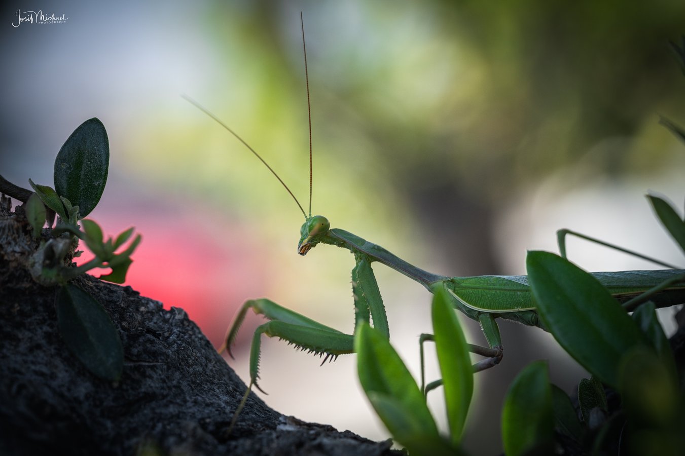 ARV09158-Edit web.jpg