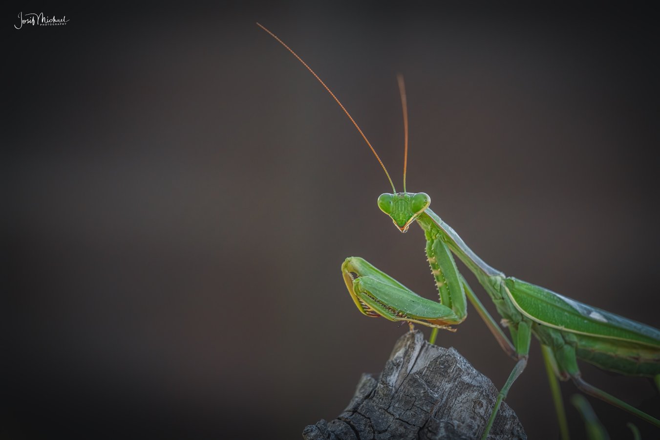 ARV09154-Edit web.jpg