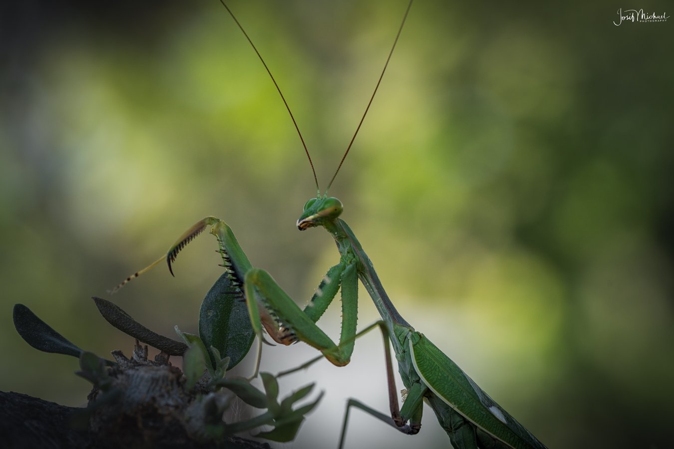 ARV09162-Edit web.jpg