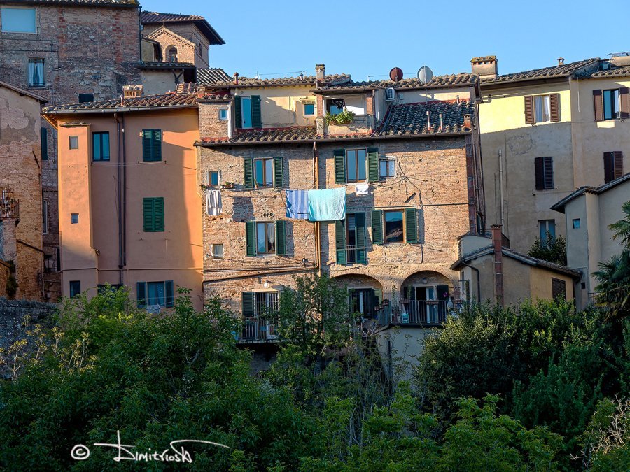 P5010550_DxO copy_WM.jpg