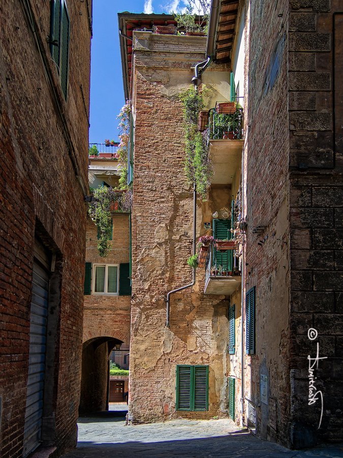 P4300396_DxO copy3_WM.jpg