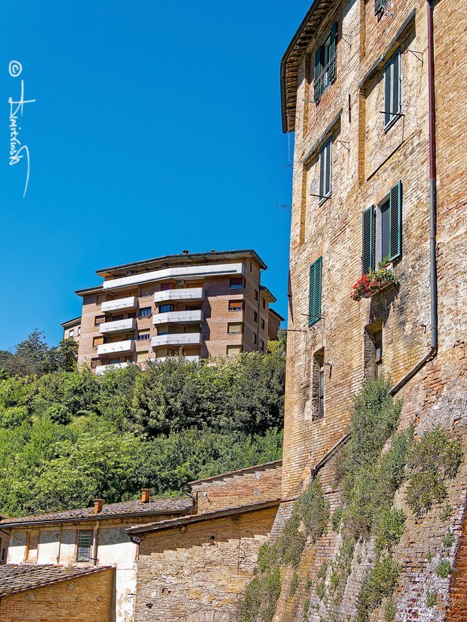 P5010863_DxO copy_WM.jpg