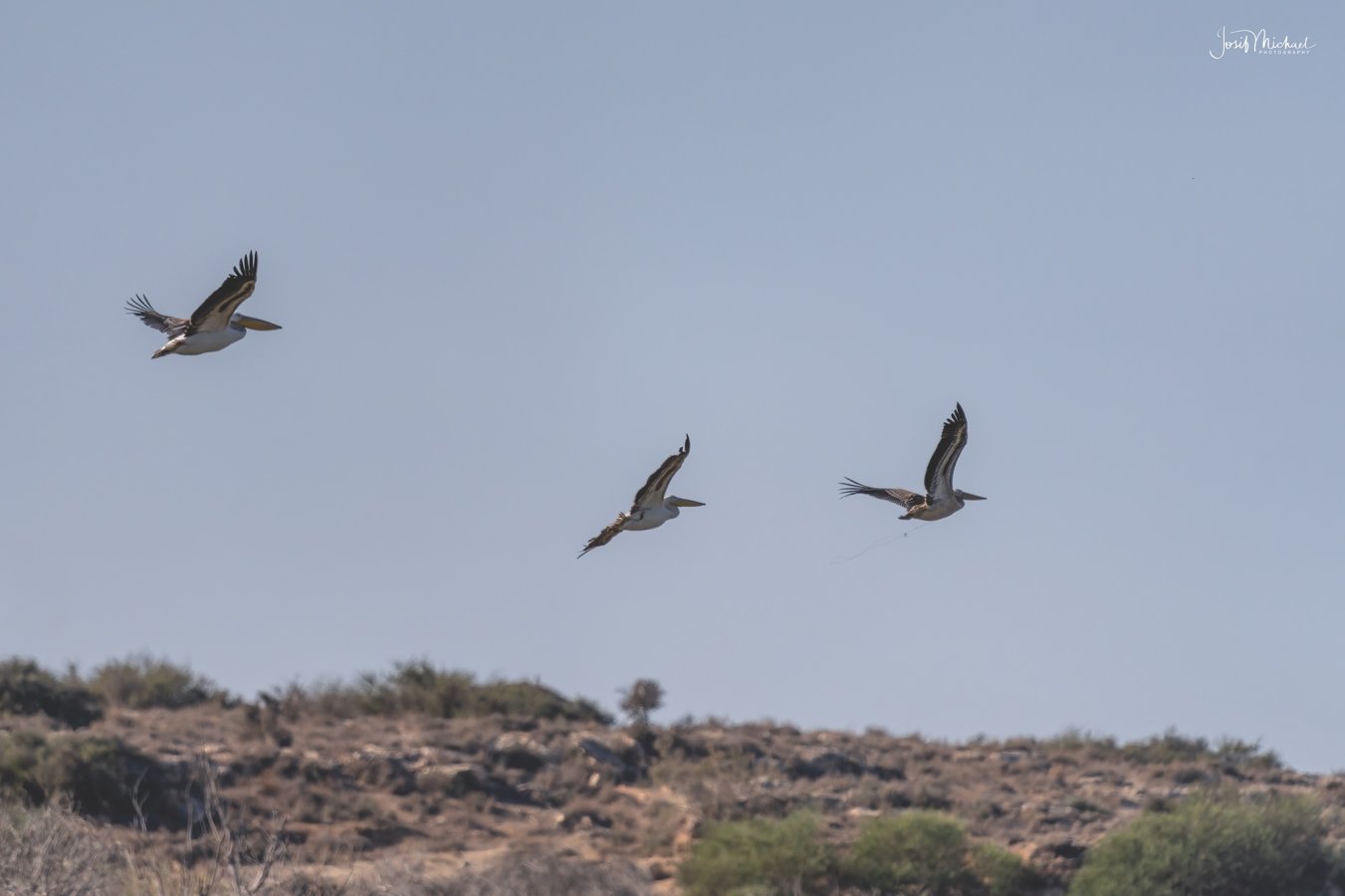 ARV09295-Edit web.jpg