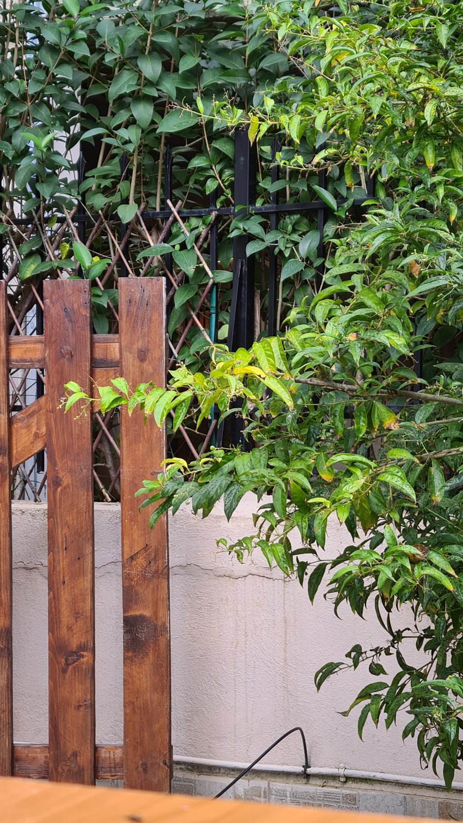 20251118_122819.jpg 20251118_122819.jpg