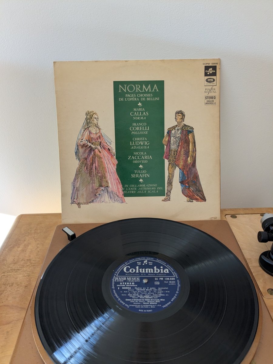 PXL_20251122_093533030.jpg PXL_20251122_093533030.jpg