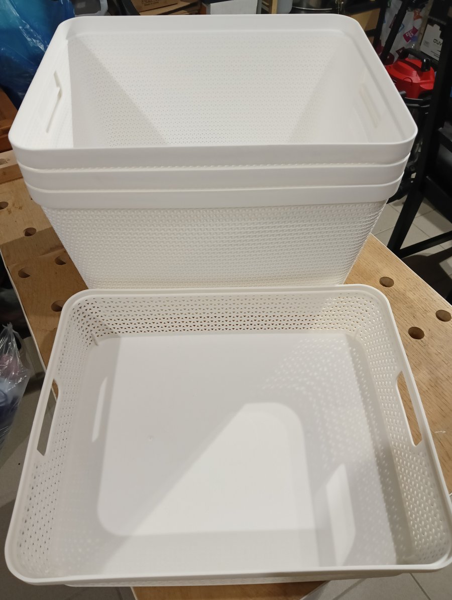 IMG20251003084259_034201.jpg IMG20251003084259_034201.jpg