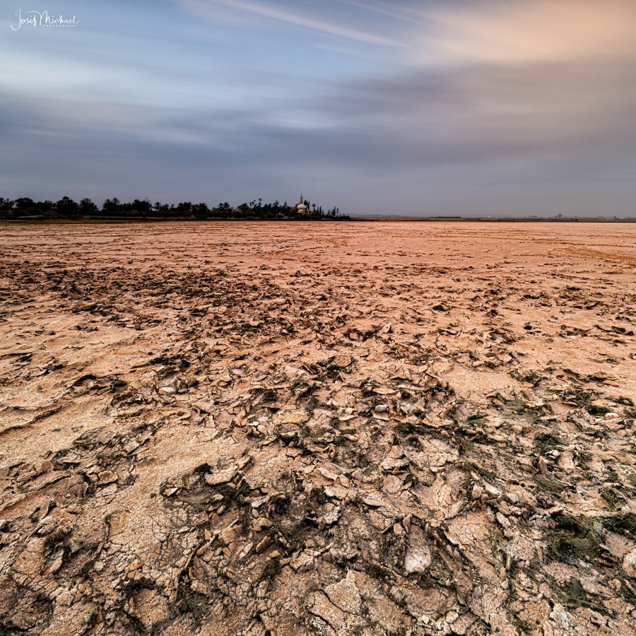 ARV02759-Edit web.jpg