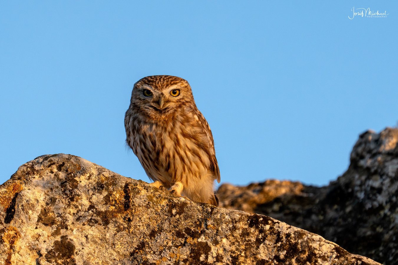 ARV02817-Edit web.jpg