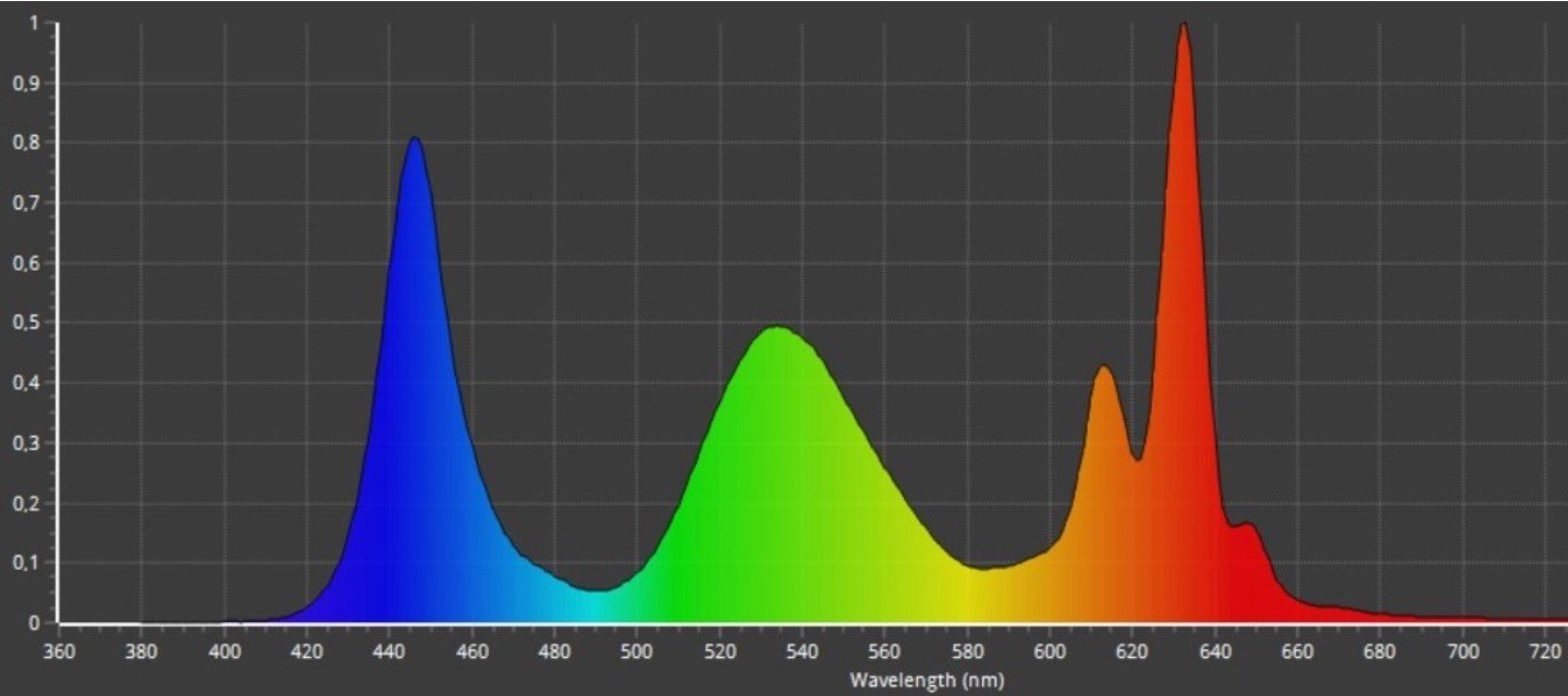 TV-55Z95B_PFS SPD_digitalfernsehen.de.jpg