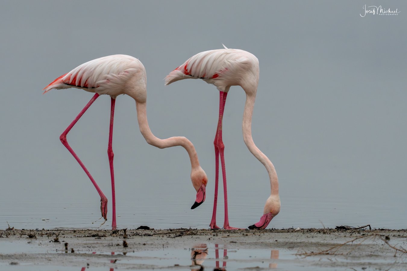 ARV03261-Edit web.jpg