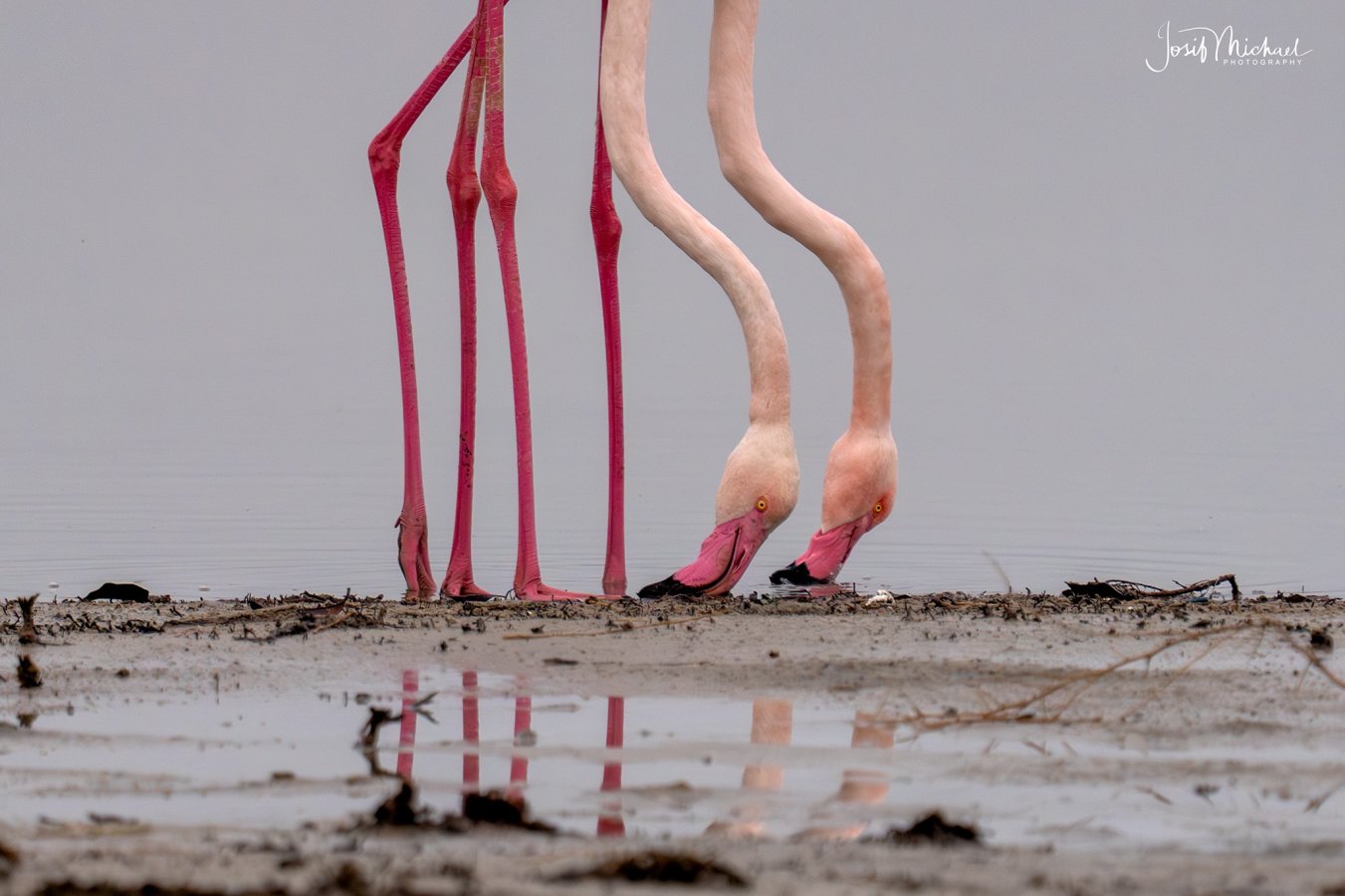 ARV03273-Edit web.jpg