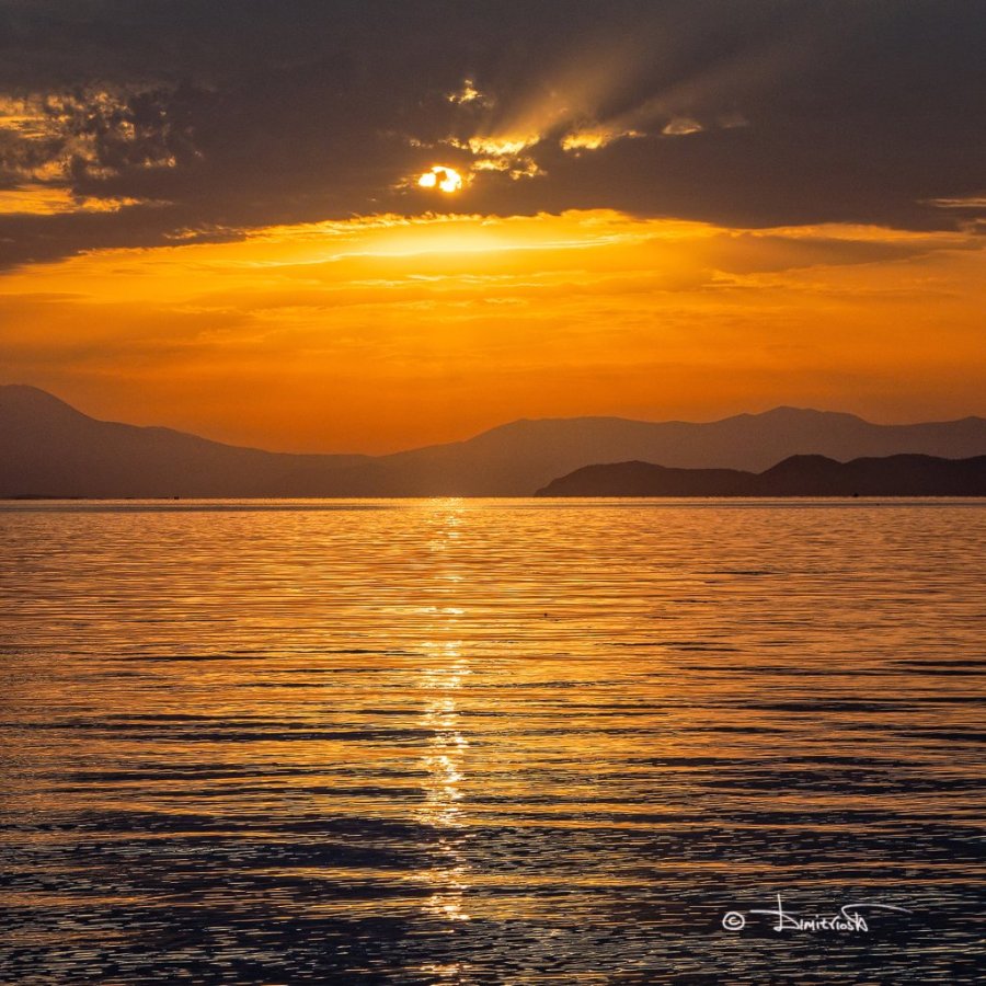 P8200162_DxO_PS copy_WM.jpg