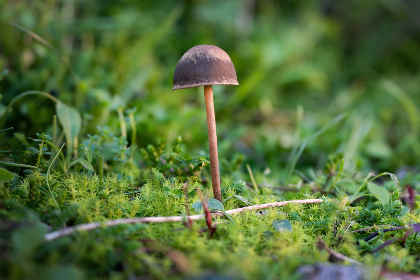 2025-12-14 14-22-55 (B,R6,S3).jpg