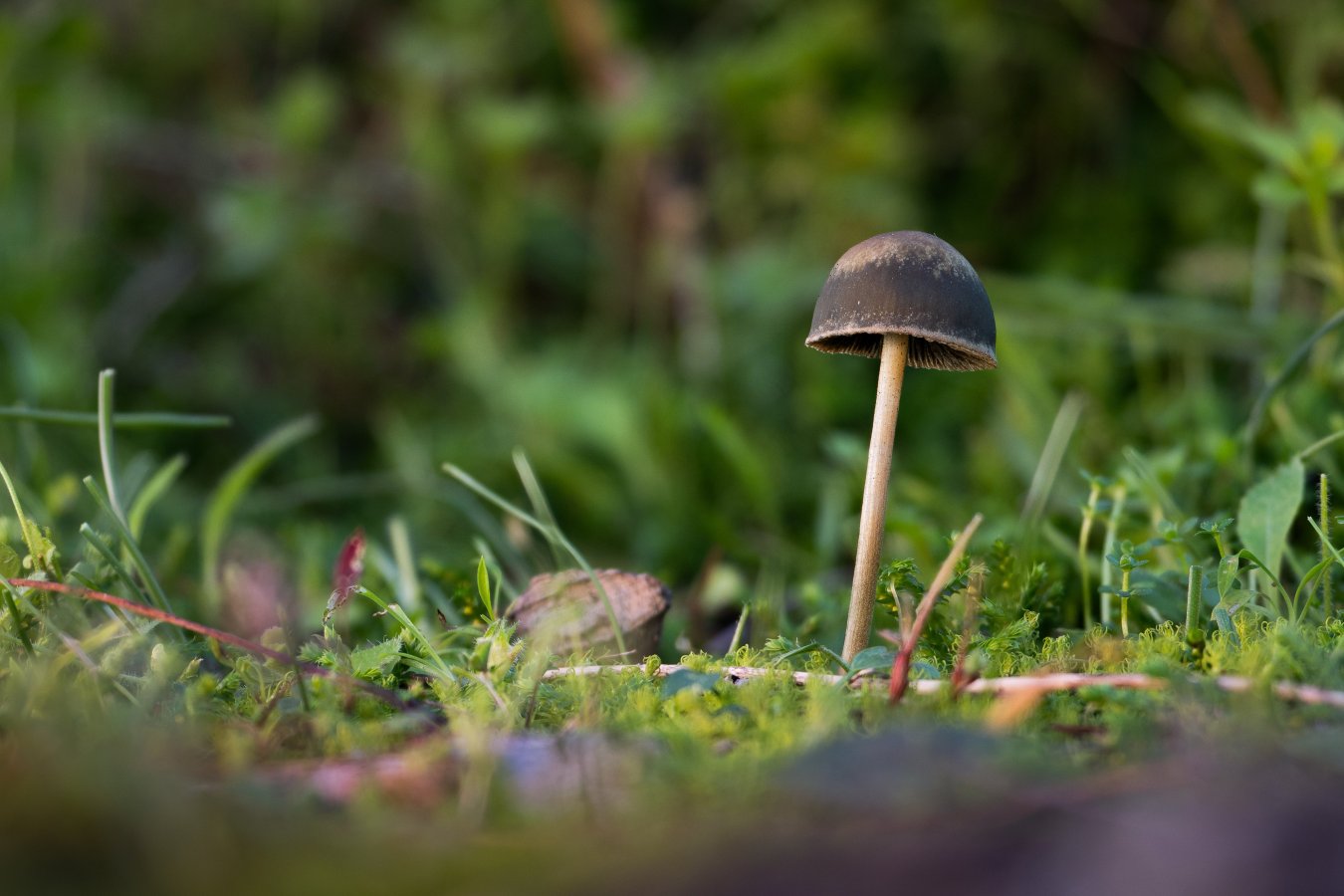 2025-12-14 15-28-10 (B,R6,S3).jpg