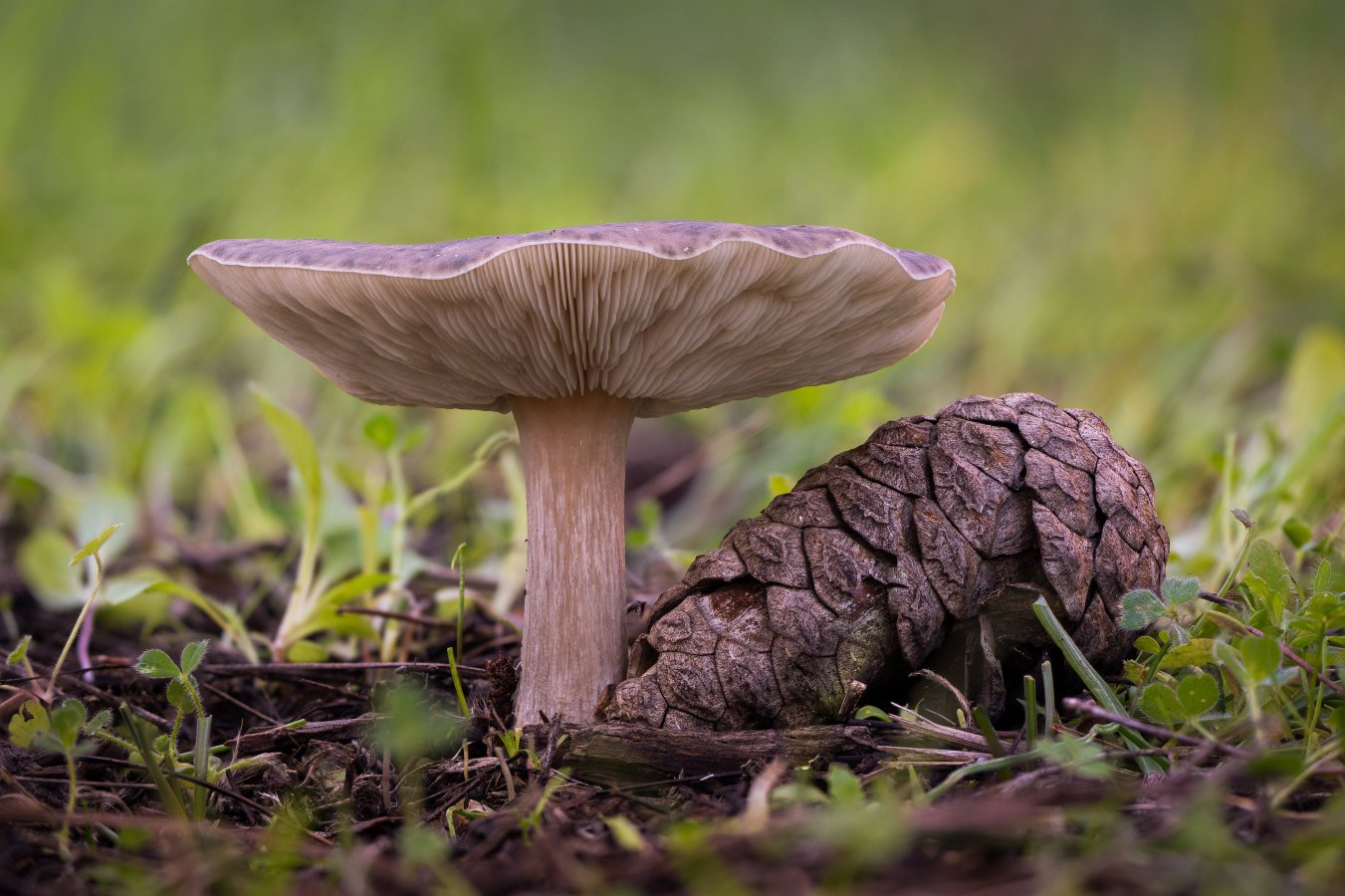 2025-12-14 18-36-12 (B,R6,S3).jpg